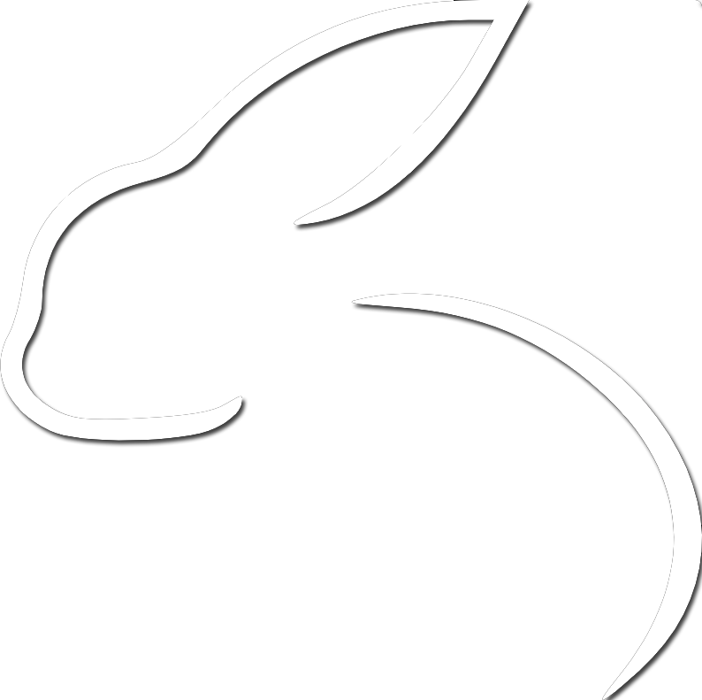 white rabbit